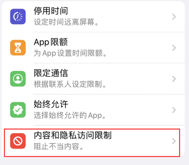 共和appleID维修服务iPhone设置中Apple ID显示为灰色无法使用