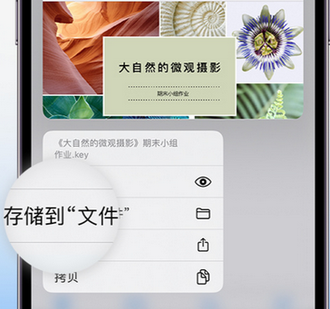 共和apple维修中心分享iPhone文件应用中存储和找到下载文件