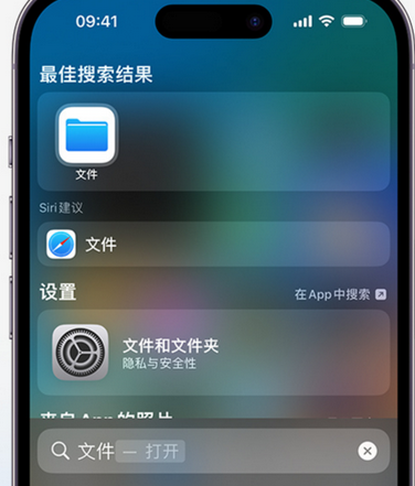 共和apple维修中心分享iPhone文件应用中存储和找到下载文件 