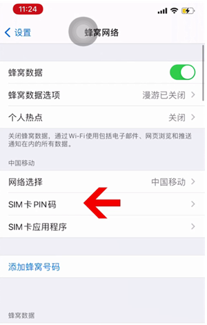 共和苹果14维修网分享如何给iPhone14的SIM卡设置密码 