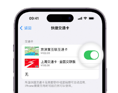 共和apple维修点分享iPhone上更换Apple Pay快捷交通卡手绘卡面 