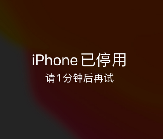 共和苹果手机维修分享:iPhone 显示“不可用”或“已停用”怎么办？还能保留数据吗？ 