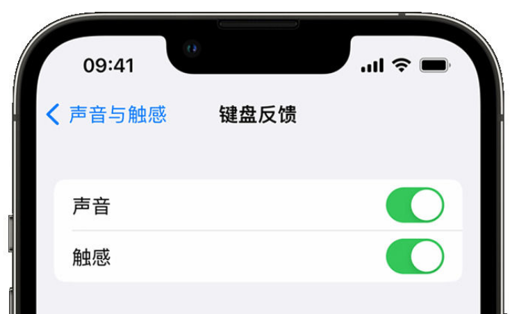 共和苹果手机维修分享iPhone 14触感键盘使用方法 