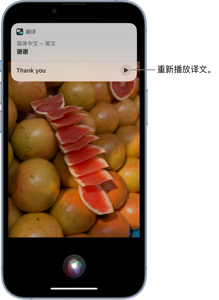 共和苹果14维修分享 iPhone 14 机型中使用 Siri：了解 Siri 能帮你做什么 