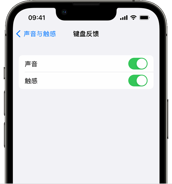 共和苹果14维修分享iPhone 14 系列机型如何开启键盘声音或触感反馈 