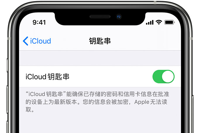 共和苹果手机维修分享在 iPhone 上开启 iCloud 钥匙串之后会储存哪些信息 