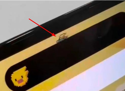 共和苹果14维修分享iPhone 14 Pro Max灵动岛怎么养宠物 