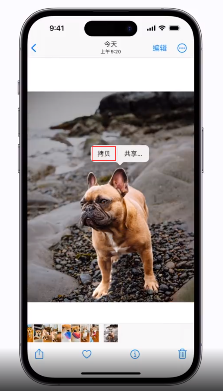共和苹果手机维修分享 iOS 16 自带一键抠图功能 