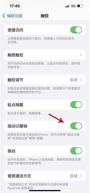 共和苹果手机维修分享iPhone手机如何设置摇一摇删除文字 