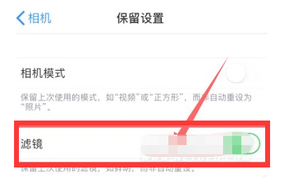 共和苹果13维修分享iPhone13拍照有绿点是怎么回事 