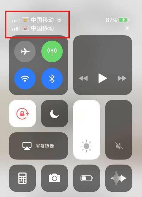 共和苹果手机维修分享为 iPhone 12 双卡设置标签 